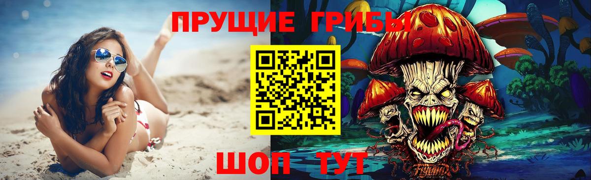 Ефремов  сколько стоит  Вход с VPN  Псилоцибиновые грибы Cubensis 