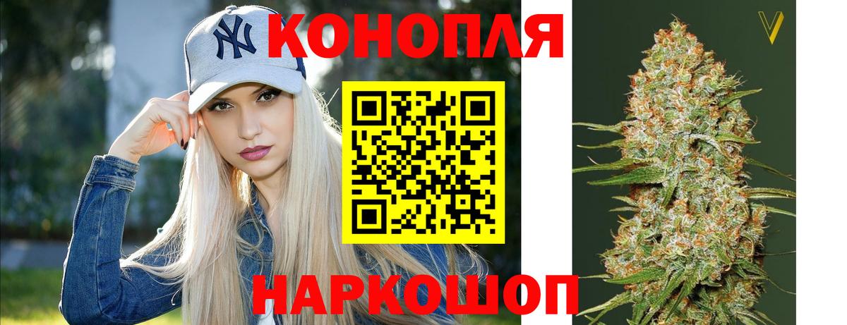 Бошки Шишки MAZAR Ефремов